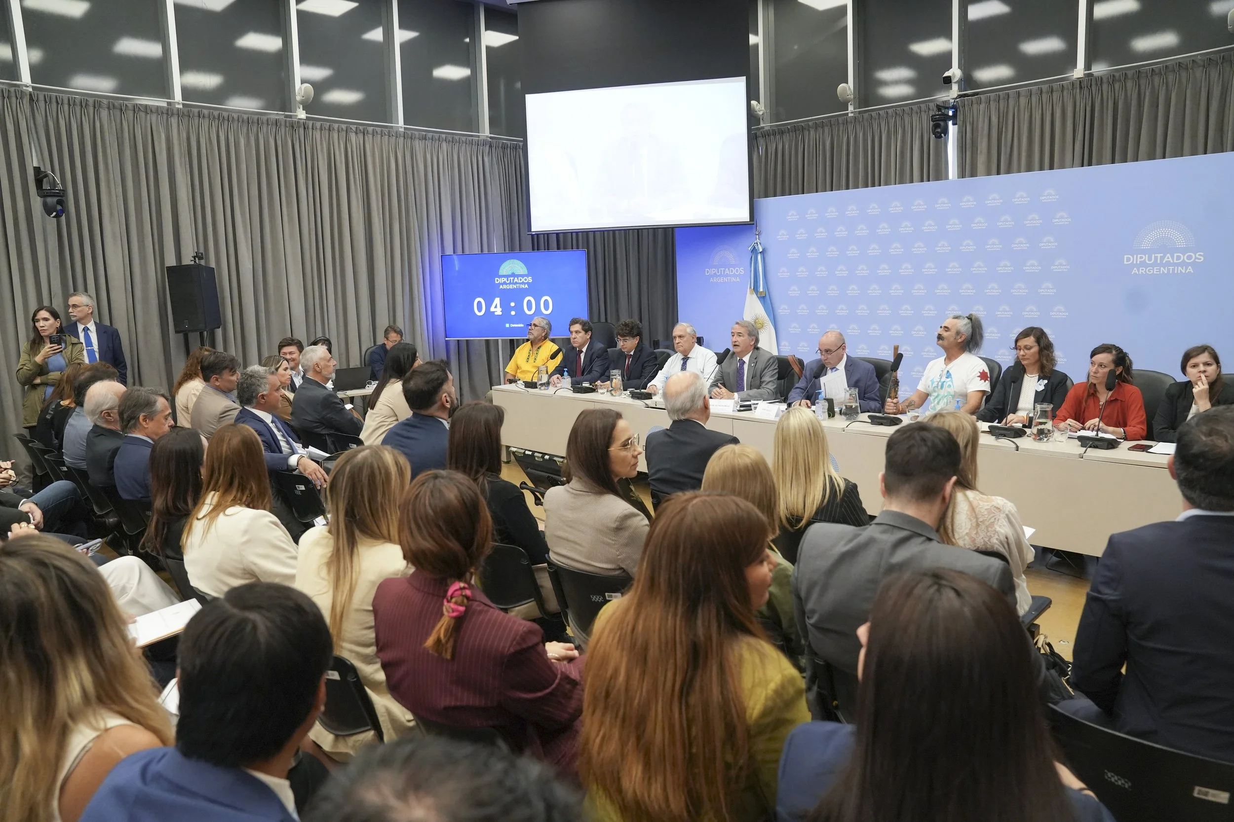  "La audiencia por la Ley de Glaciares no tuvo transparencia ni garantías"   