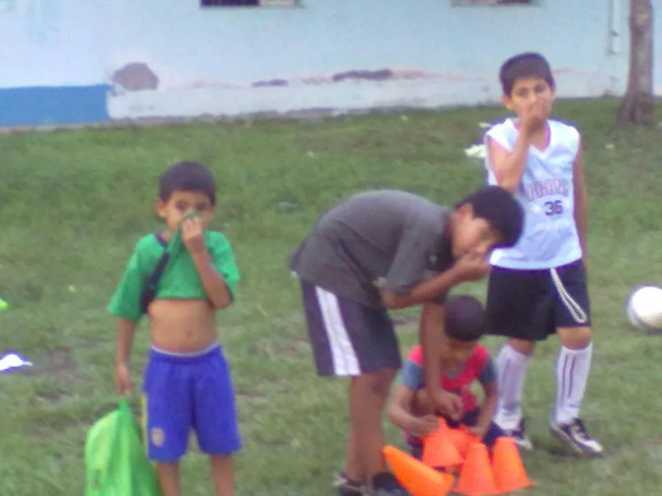 Fumigación con glifosato, un atentado a la salud