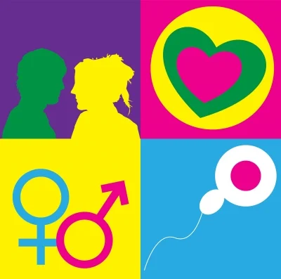 Sobre derechos y gallinas