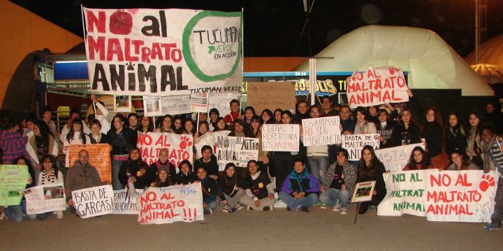 El maltrato animal es una realidad 