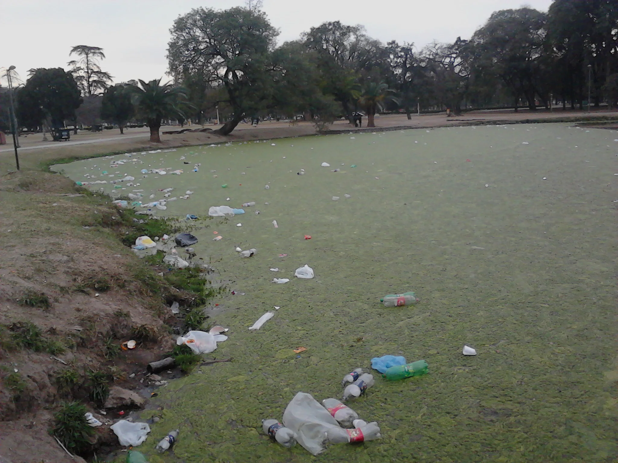 La limpieza de la ciudad es tarea de todos