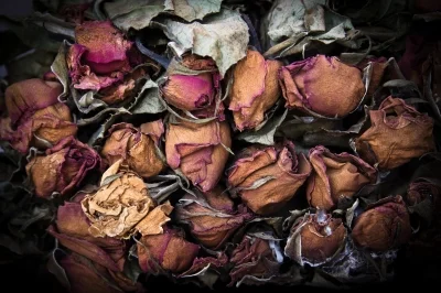 La muerte, según los vivos