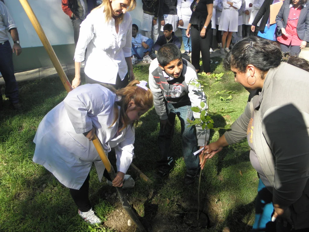 Todos podemos aportar desde nuestro espacio
