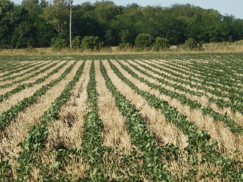 El problema de la tierra