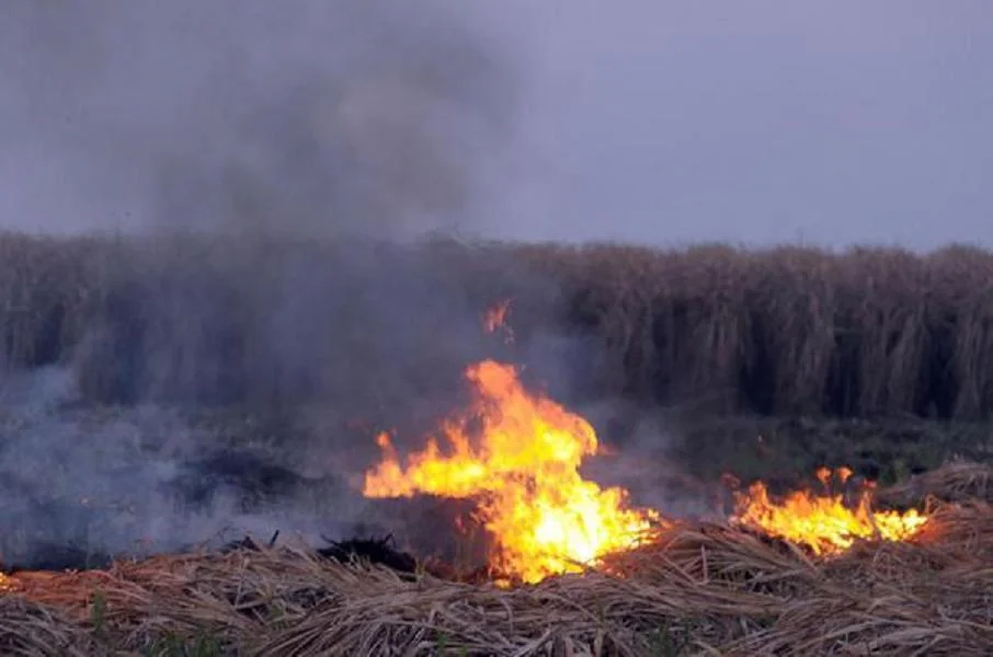 Un problema que la comunidad puede erradicar