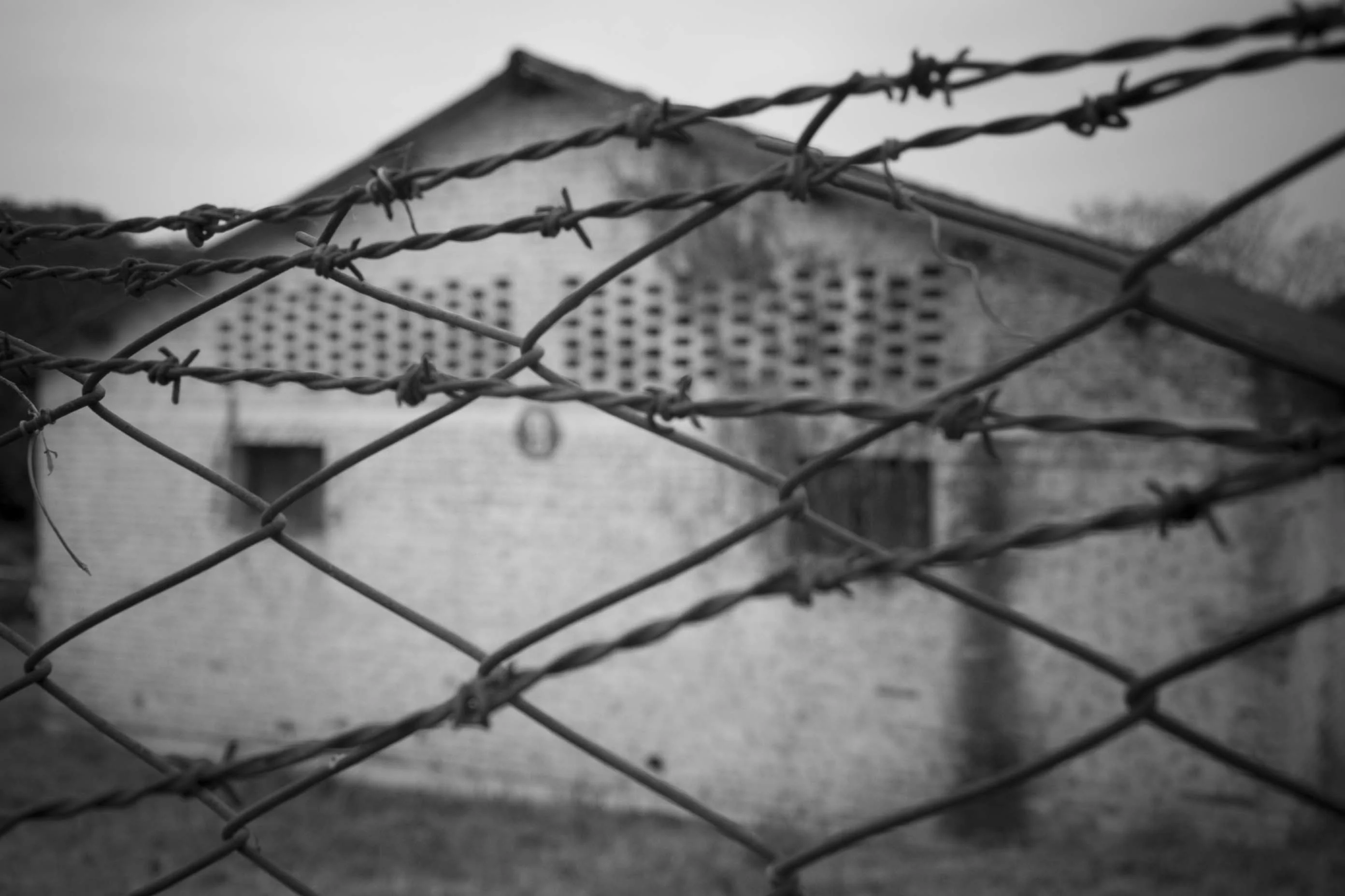 Del horror a la esperanza