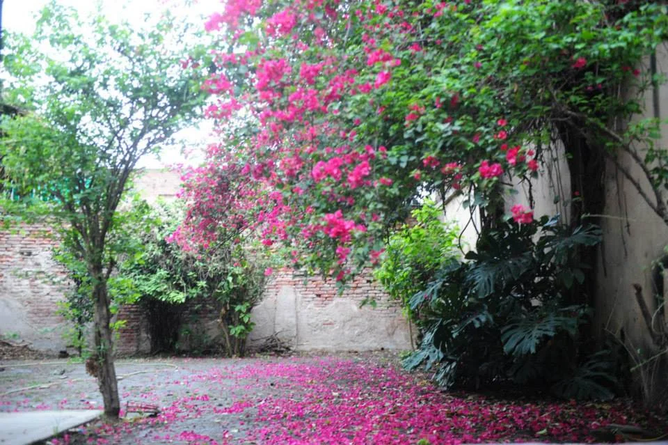 Una casa donde camina la cultura 