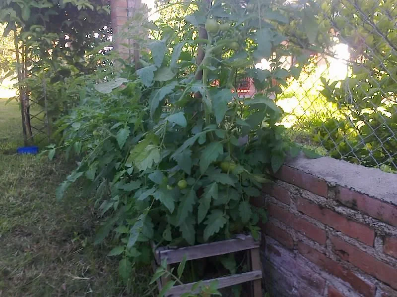 La agricultura familiar como modo de vida