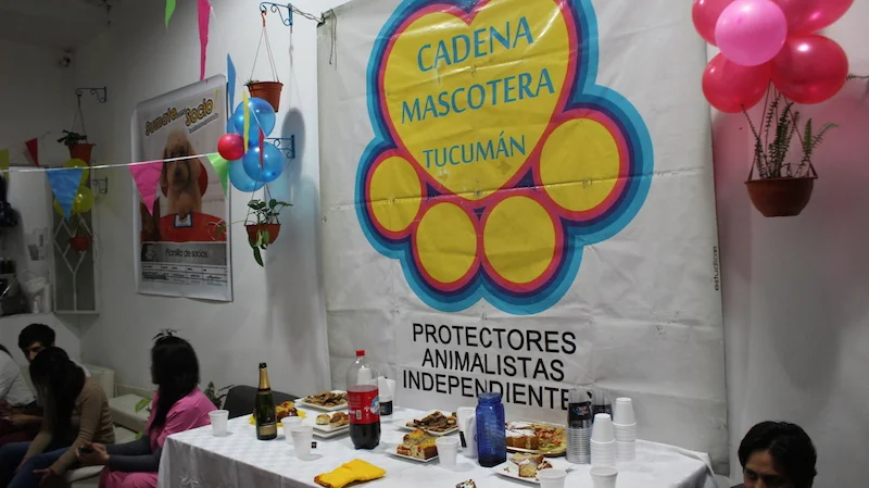 Un sueño animal se cumplió