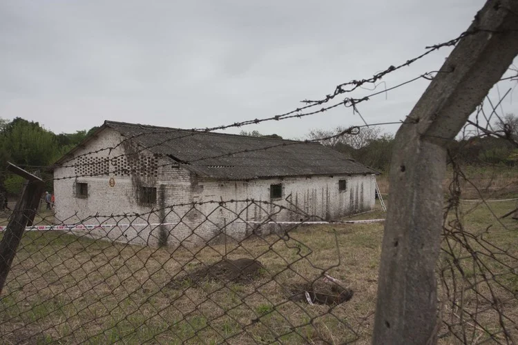 Las manos que los traen