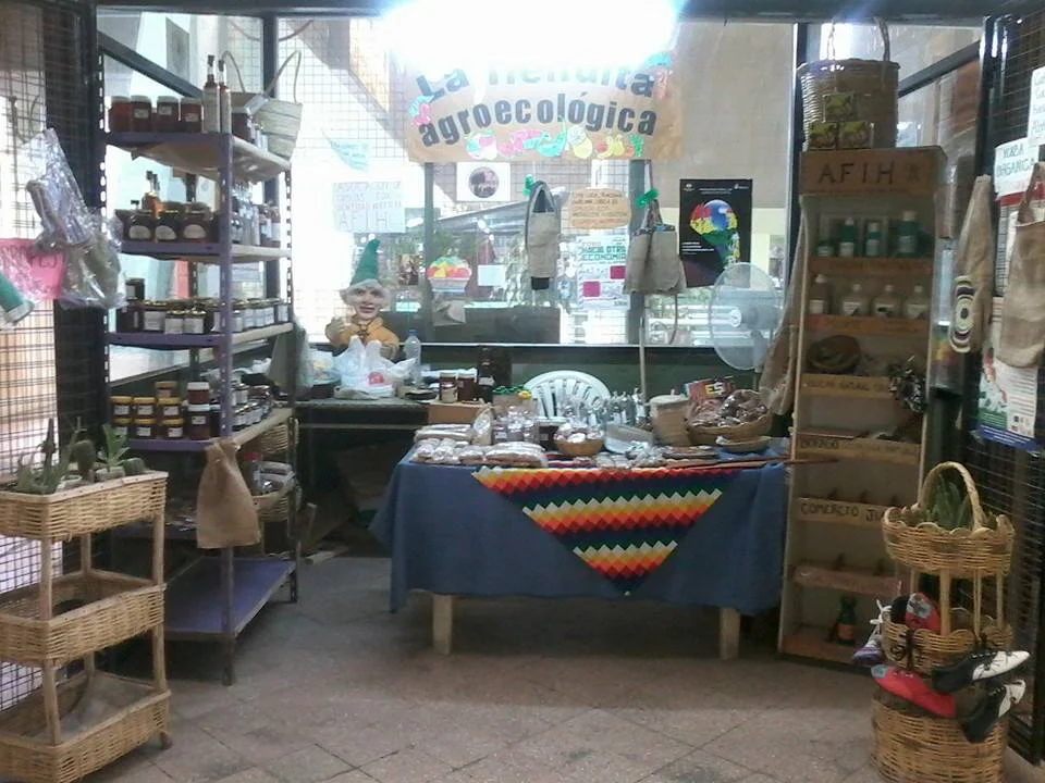 La solidaridad como alternativa