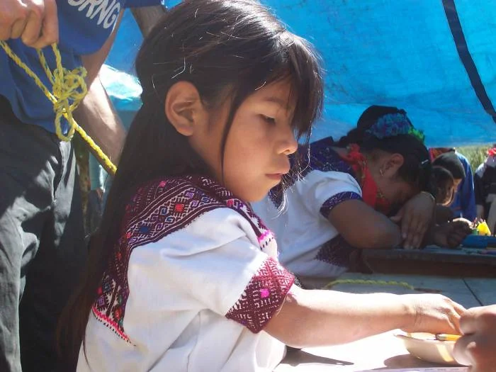 Y si de educación se habla, ¿qué decimos de Tucumán?