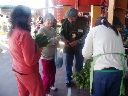 La agricultura familiar toma relevancia gracias a una ley nacional 