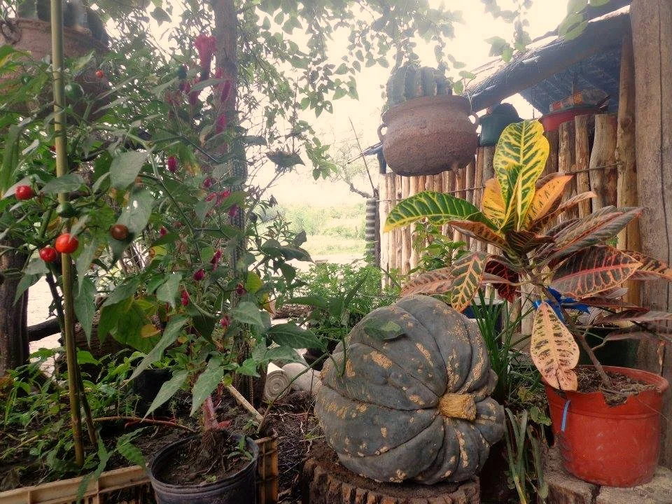 La tierra, de quien la trabaja