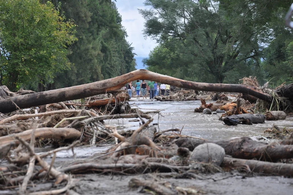 Planificación para la destrucción