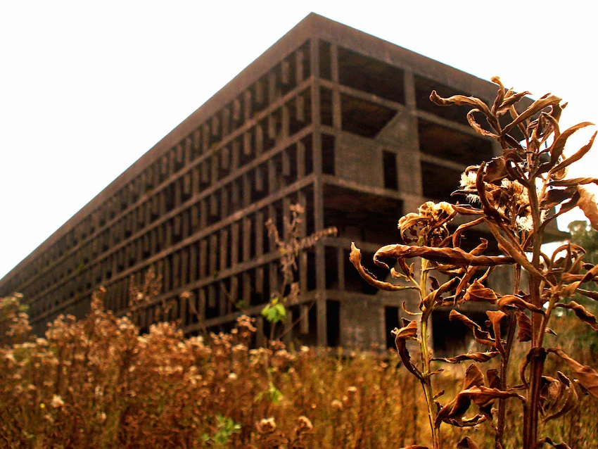 Una universidad cómplice del ecogenocidio