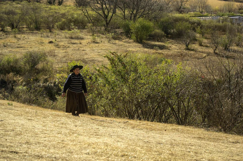 El derecho del Buen Vivir
