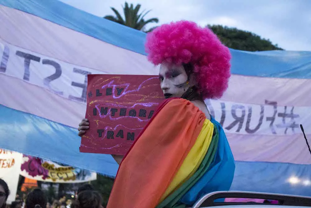 El retrato de la diversidad