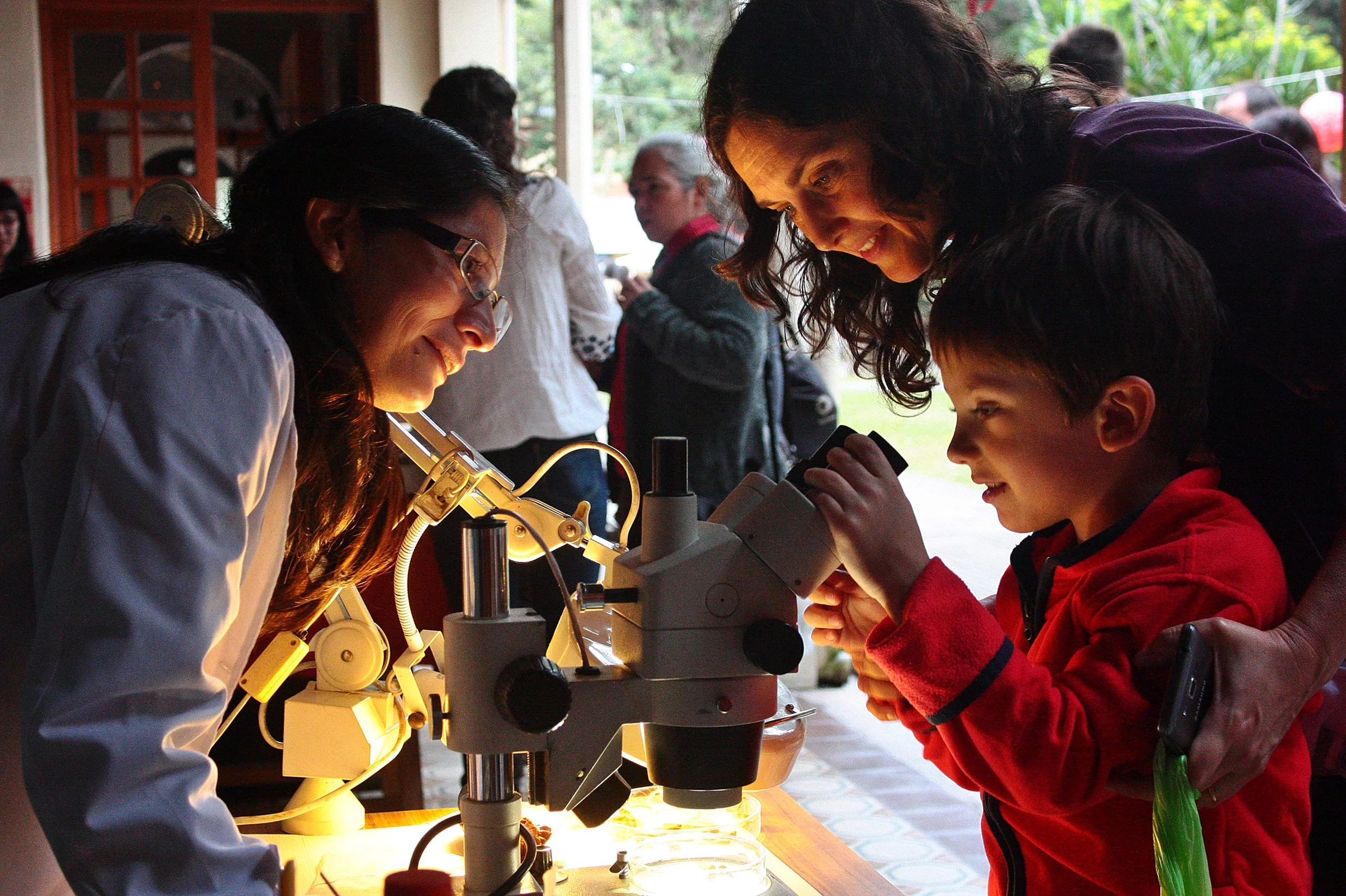 Voces por la ciencia