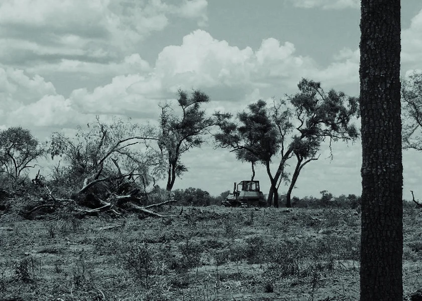 Fotografía: cortesía de Cosecha Roja