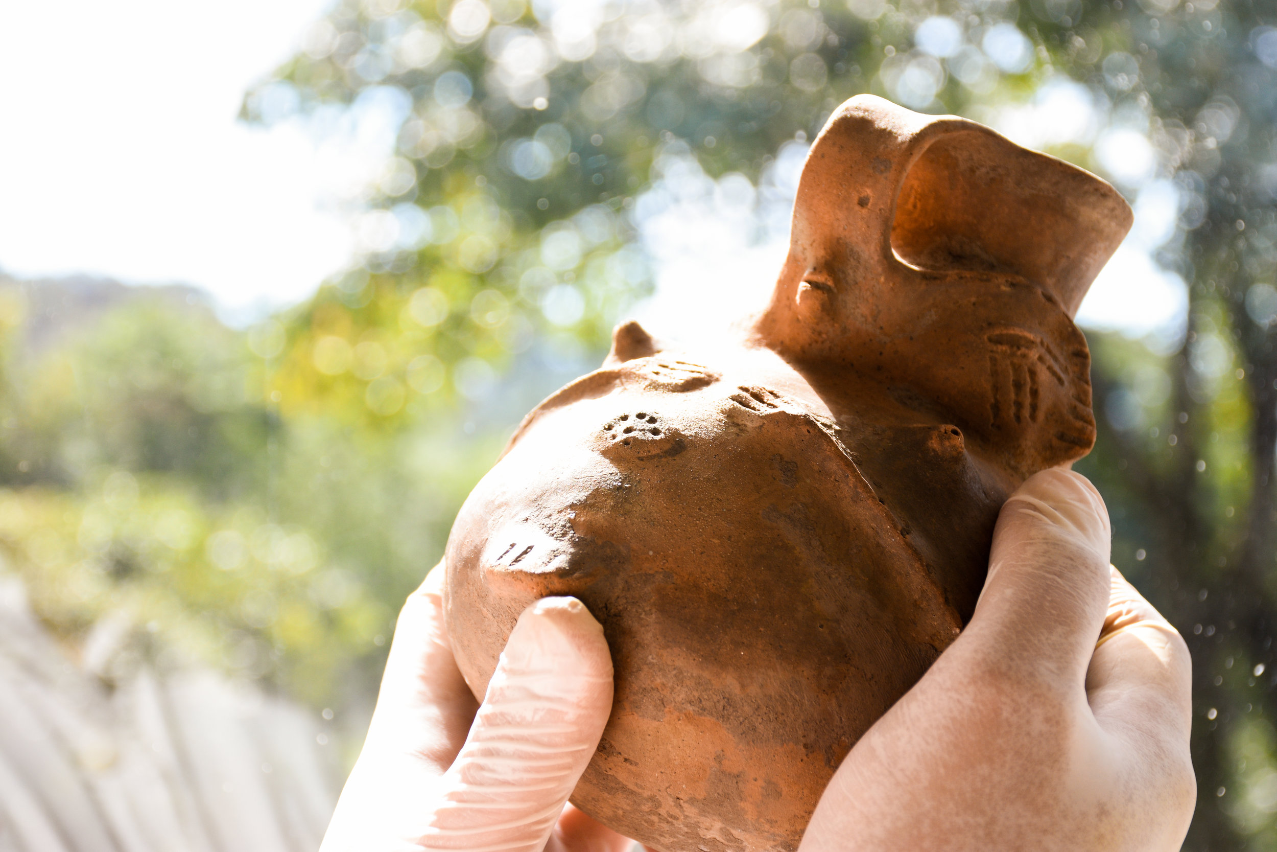 Hallazgos que construyen historia 