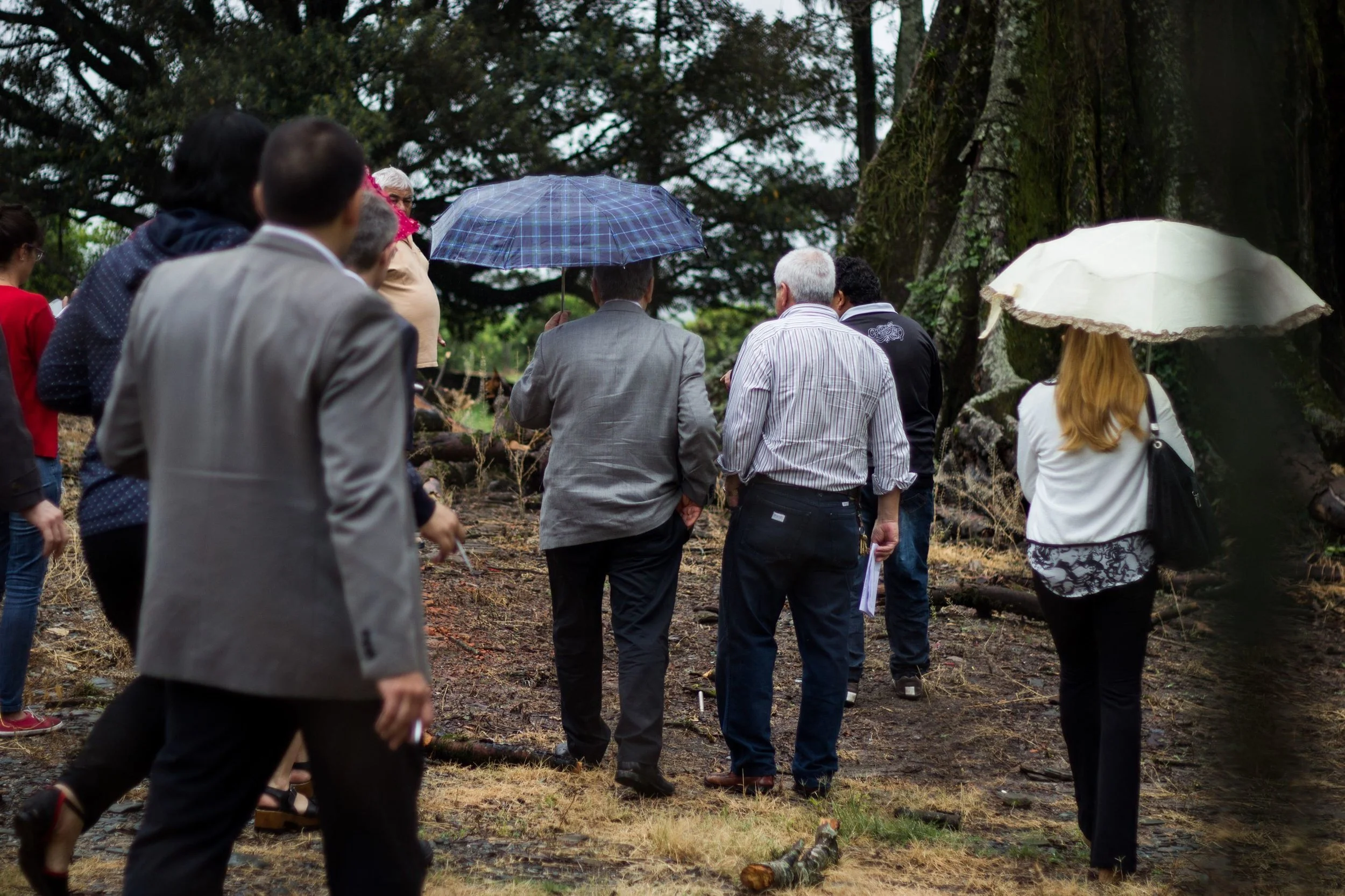 Inspección ocular en Monteros y Famaillá