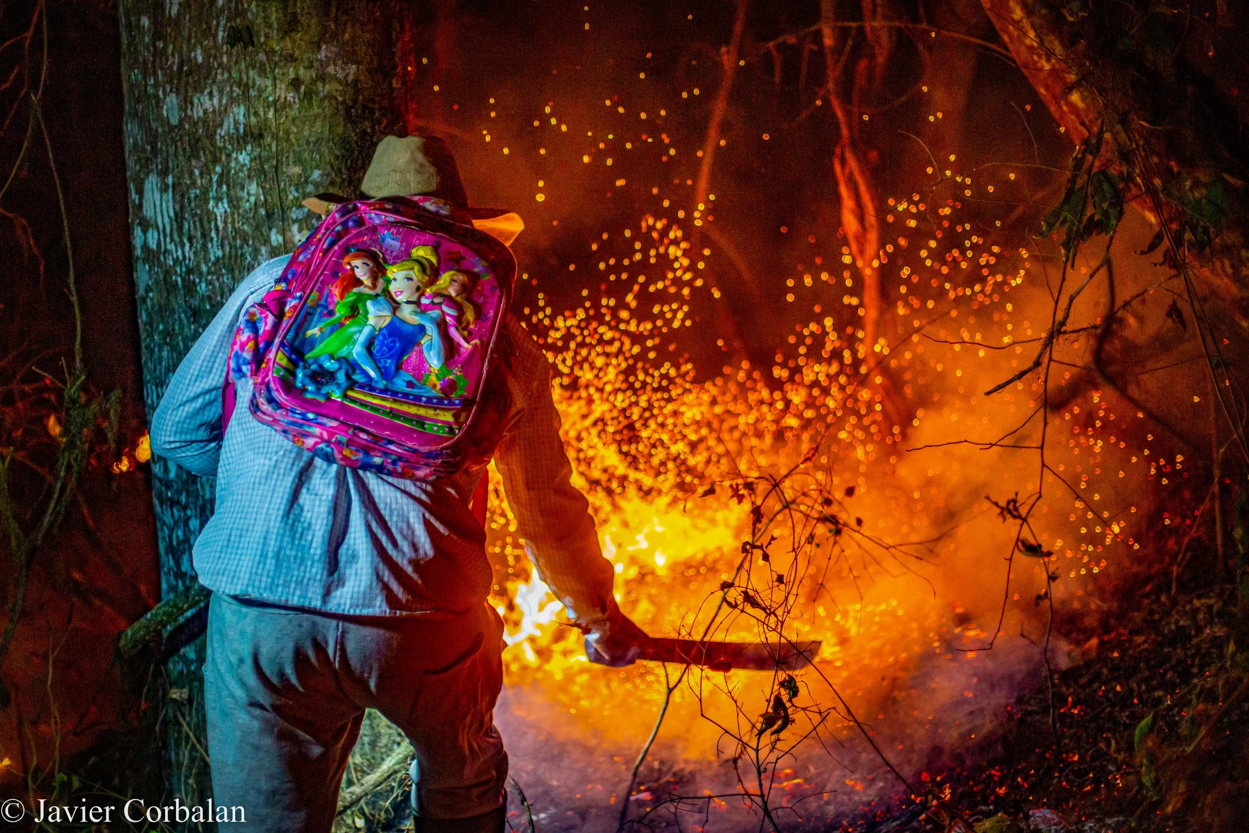 Incendios en Salta: ¿qué está pasando en las yungas?