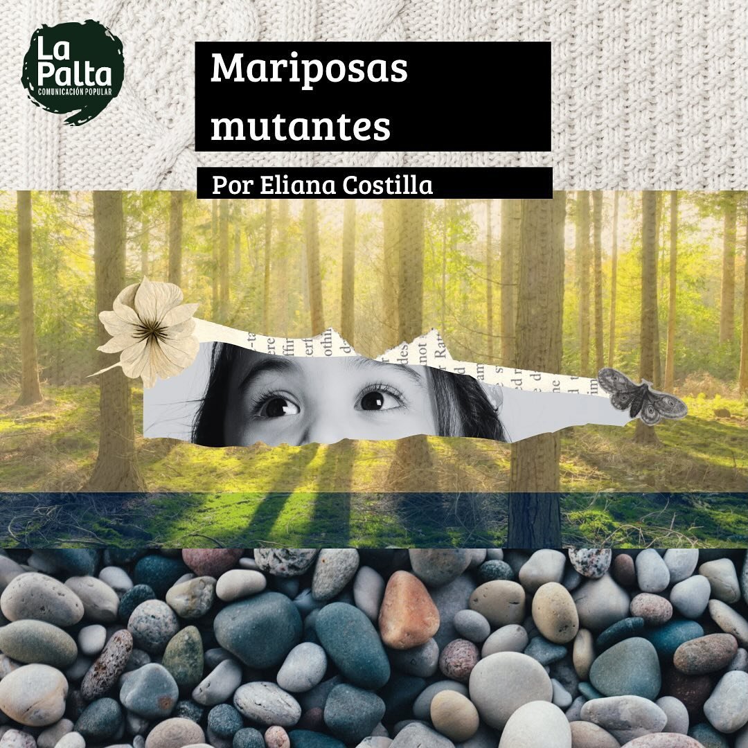 📖Lectura de Domingo: &ldquo;Mariposas mutantes&rdquo;🦋🌱 

📃Hoy acercamos textos de la autora Eliana Costilla (@elyana1979.ec ), para que los disfrutes en tu descanso de domingo.🧉🌤️

🙌🏼Desde La Palta queremos dar a conocer escritores de la reg