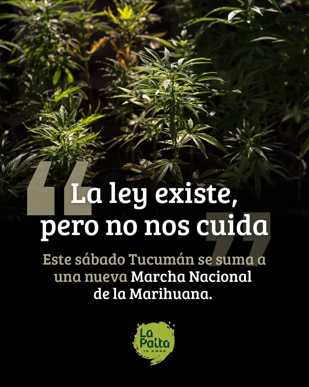 📣 Movimientos cann&aacute;bicos, pacientes y familias convocan a marchar para exigir acceso seguro al cannabis medicinal, el fin de las causas por cultivar y la efectiva implementaci&oacute;n de las leyes vigentes. 

📍 Este 15 de noviembre, a las 1