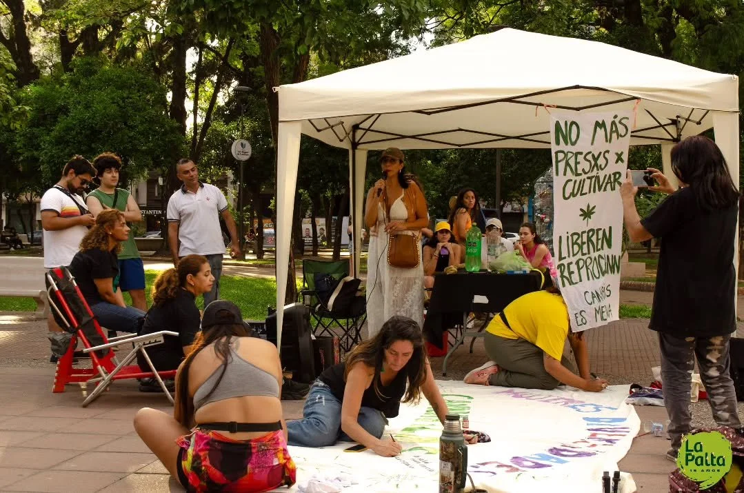 🍃 Tucum&aacute;n March&oacute; por el Cannabis

👉 Ayer, 15 de noviembre, la plaza Yrigoyen fue el punto de encuentro de organizaciones, pacientes y familias que se sumaron a la Marcha Nacional de la Marihuana. Fue una tarde de lucha, visibilidad y 