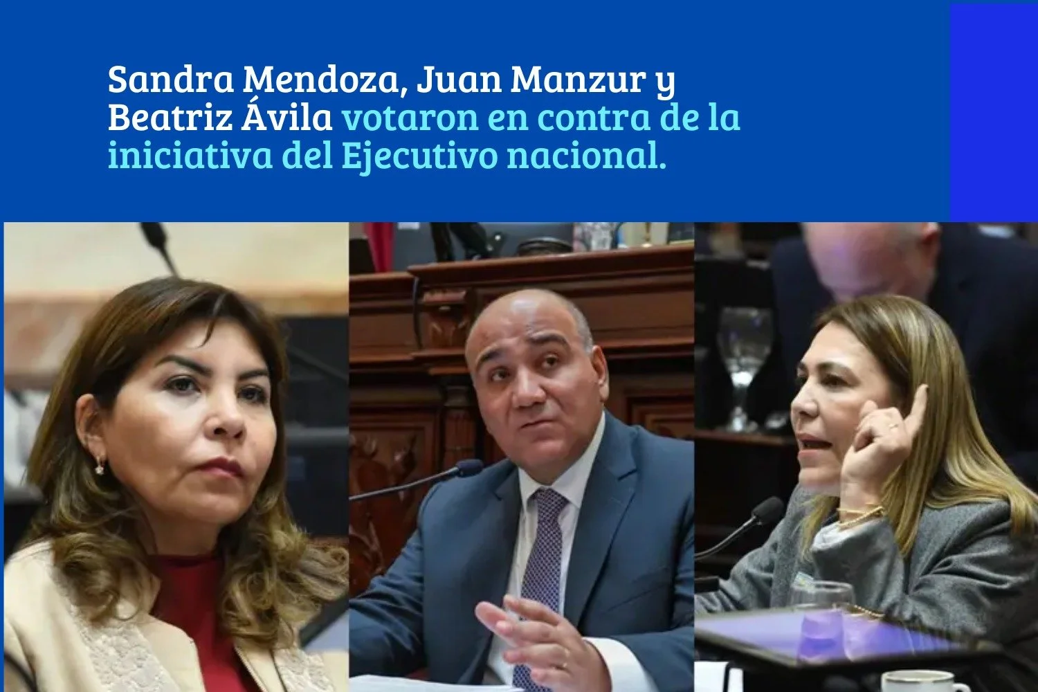 Senado ley de tierras (3).jpeg