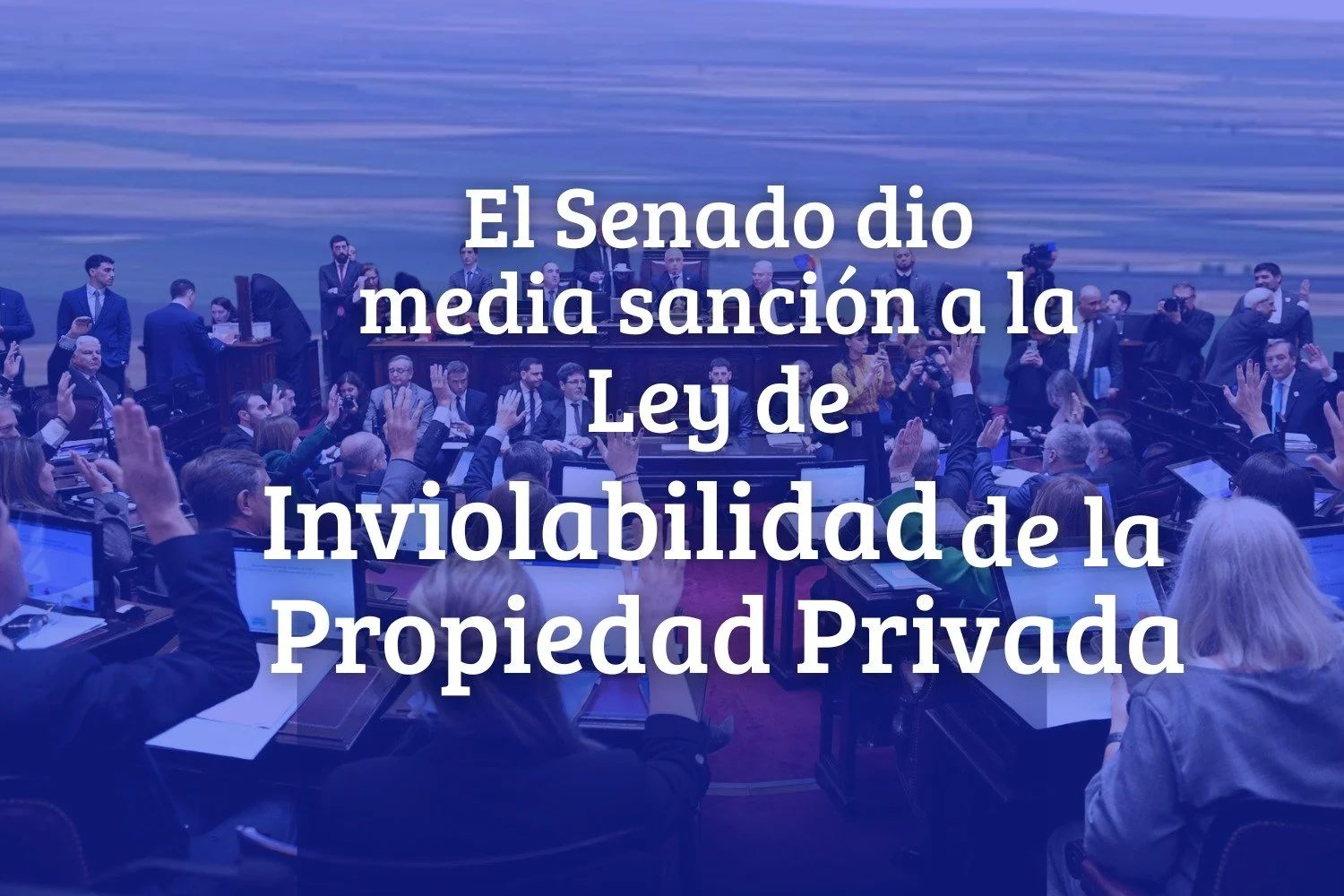 Senado ley de tierras (4).jpeg