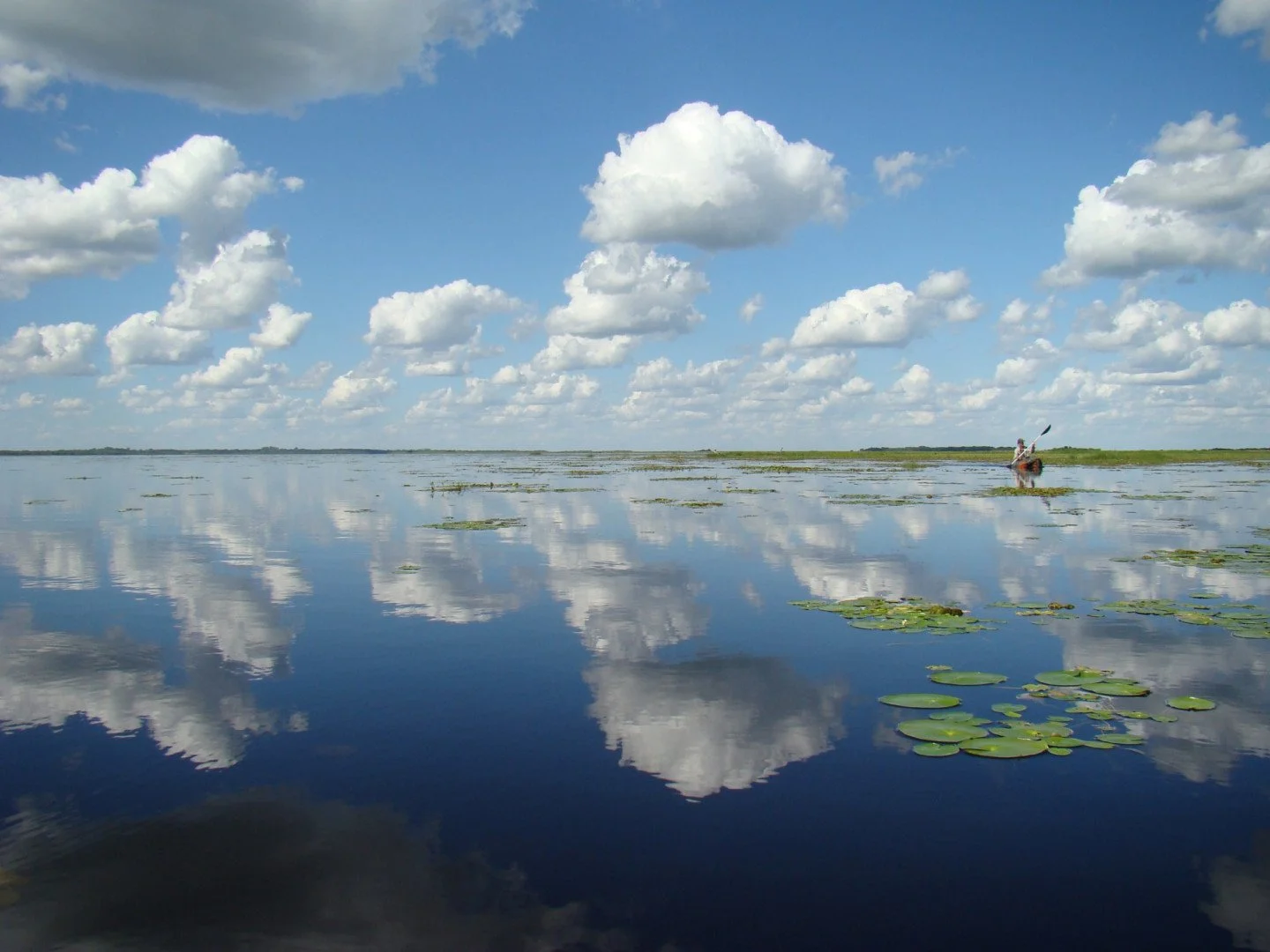 Parque nacional Mburucuya.jpg