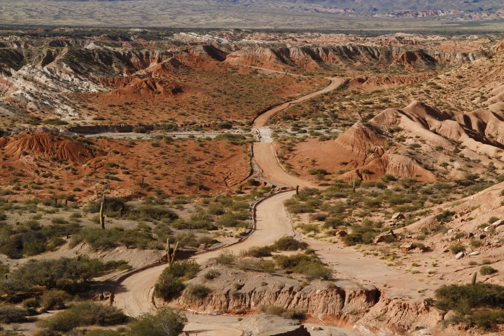 Parque nacional Los Cardones.jpg