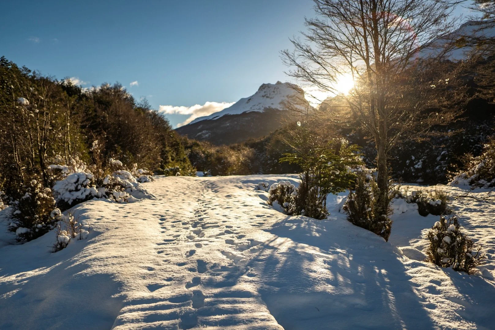 Parque nacional Tierra del Fuego.jpg