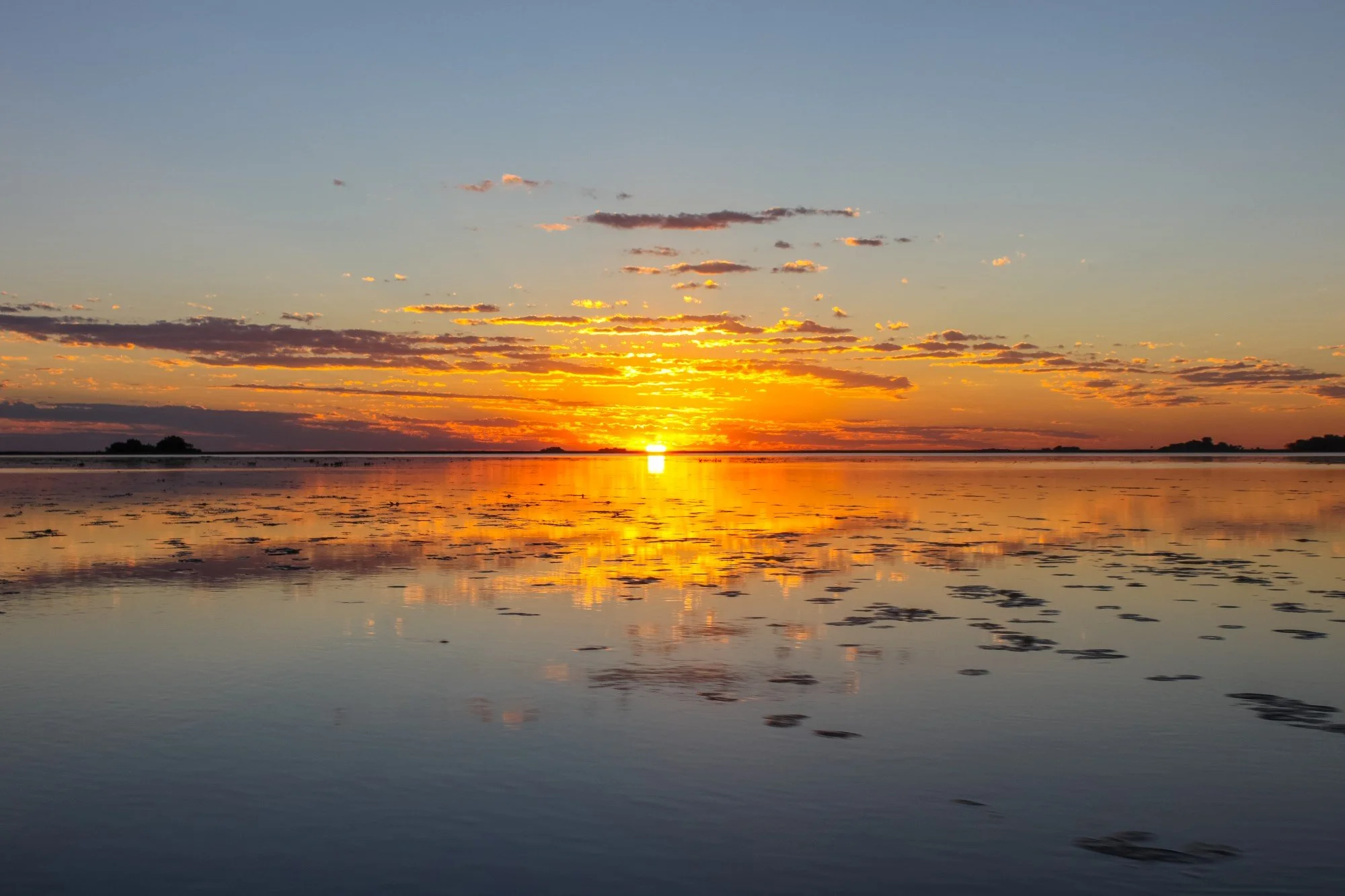 Parque nacional iberá.jpg