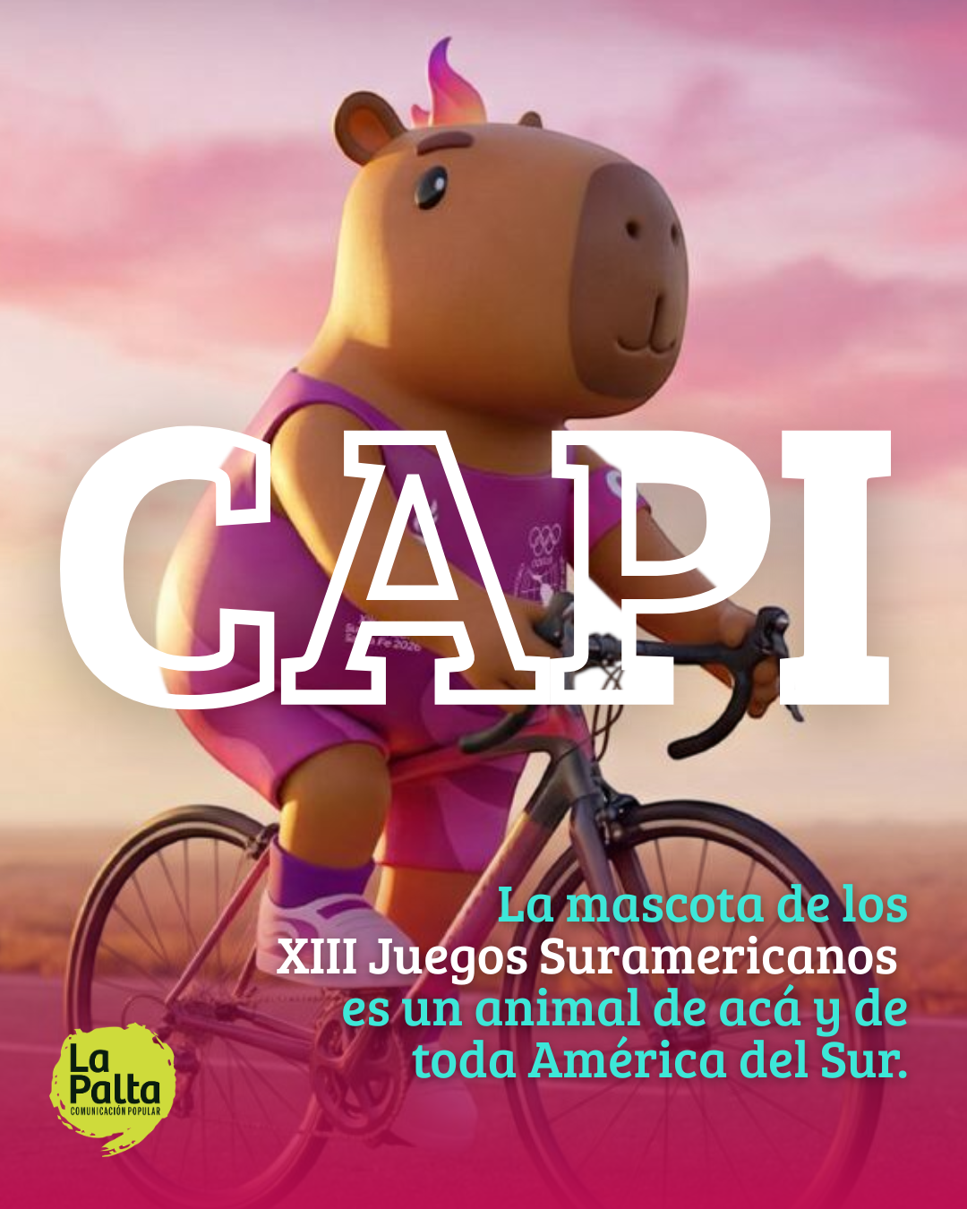 Juegos suramericanos (5).png