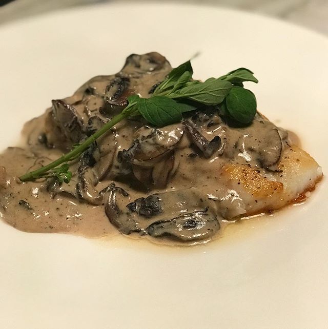 Alaskan Halibut Filet &bull; Baby Bella Mushroom Tahini Sauce &bull; Fresh Oregano 🌿 🐠 🍄 
#fresh #fish #alaskan #halibut #whitefish #kosher #food #ingridients #mushroom #babybella #oregano #tahini #lime #chefip #qualityingredients #gourmet #privat