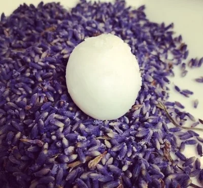 lavender coco.jpg