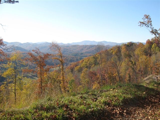 Image2.jpg