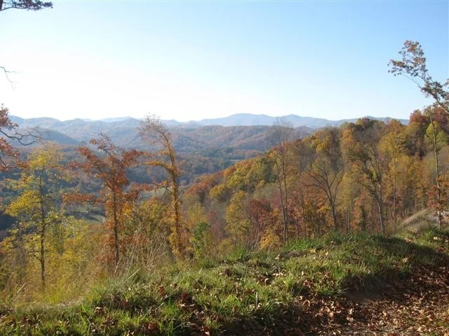 Image2.jpg