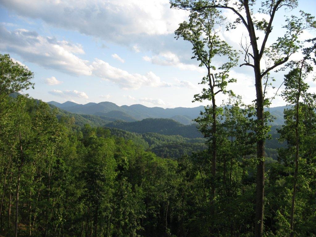 Image25.jpg