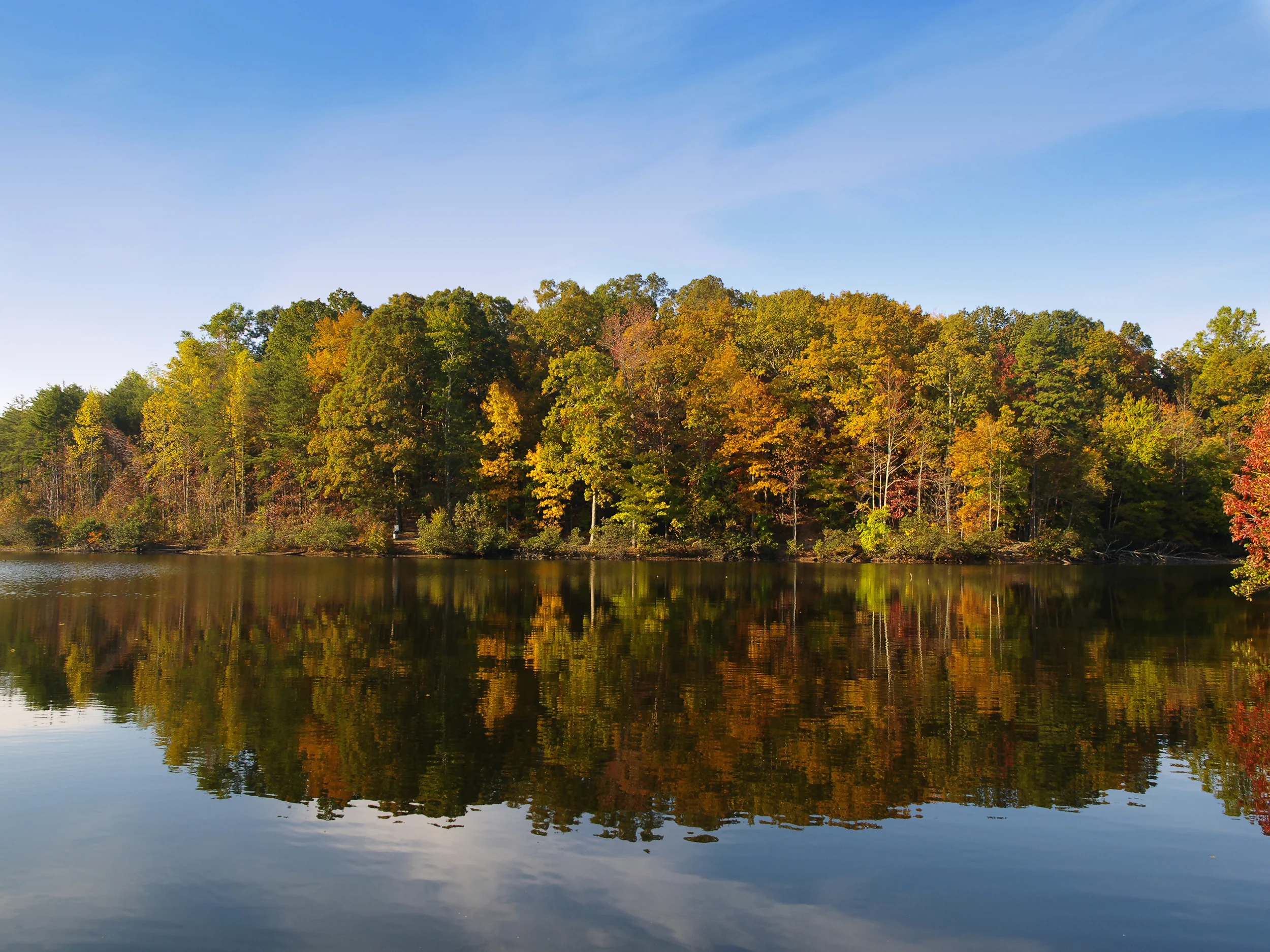 iStock_000001370179Large.jpg
