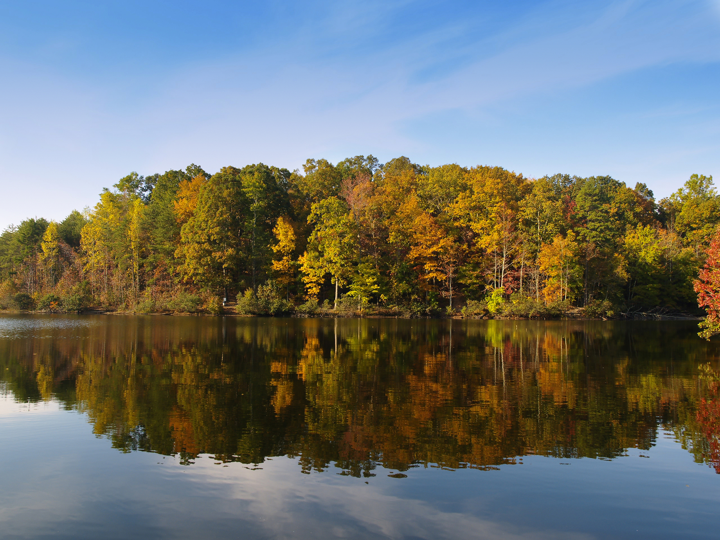iStock_000001370179Large.jpg