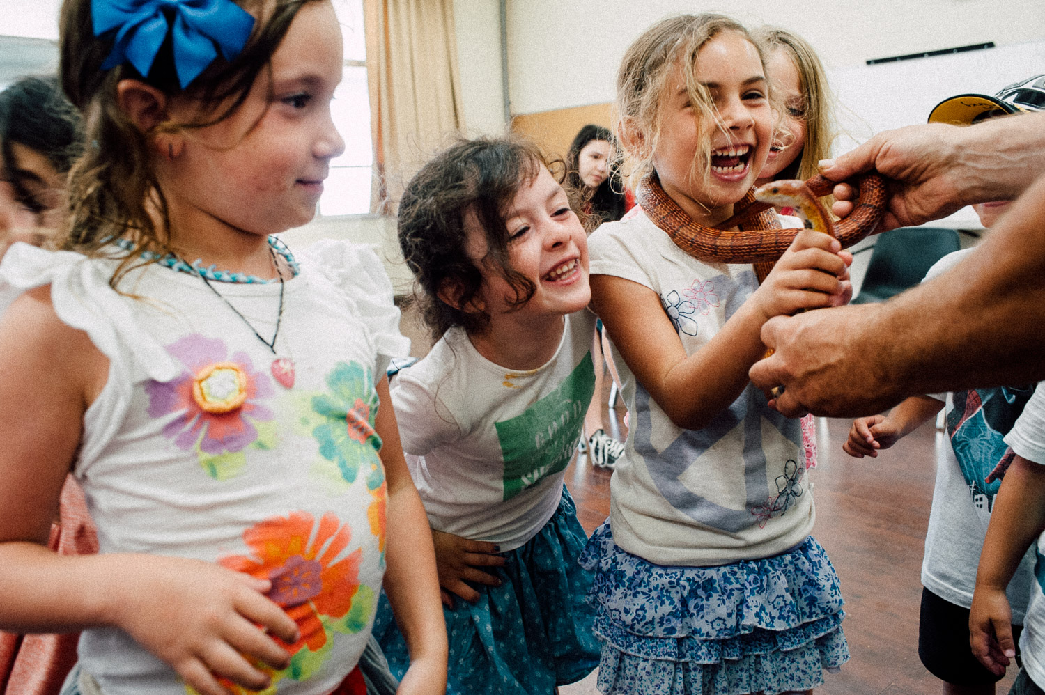snake whispering lessons, 2015