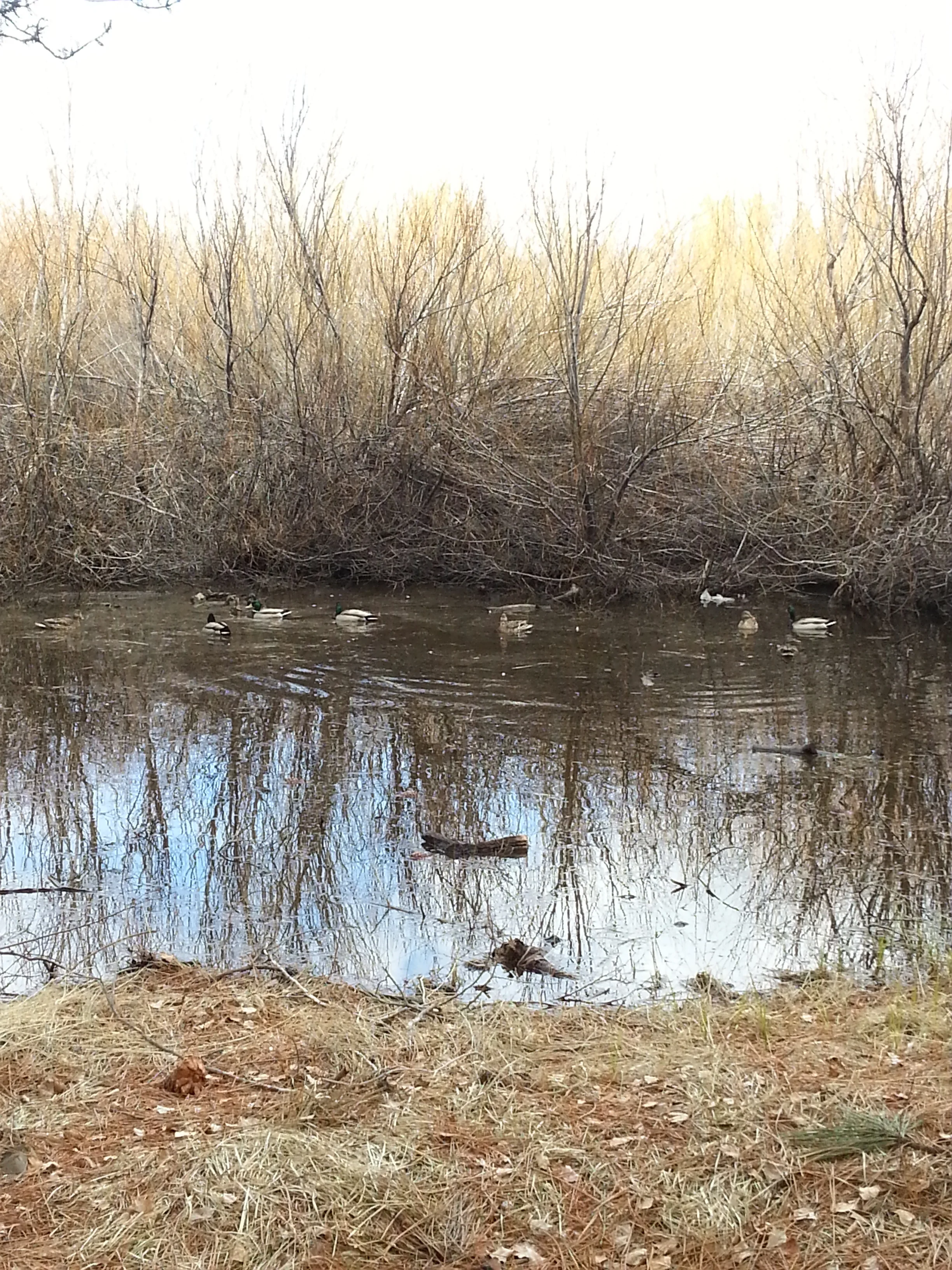 20130401_144219.jpg