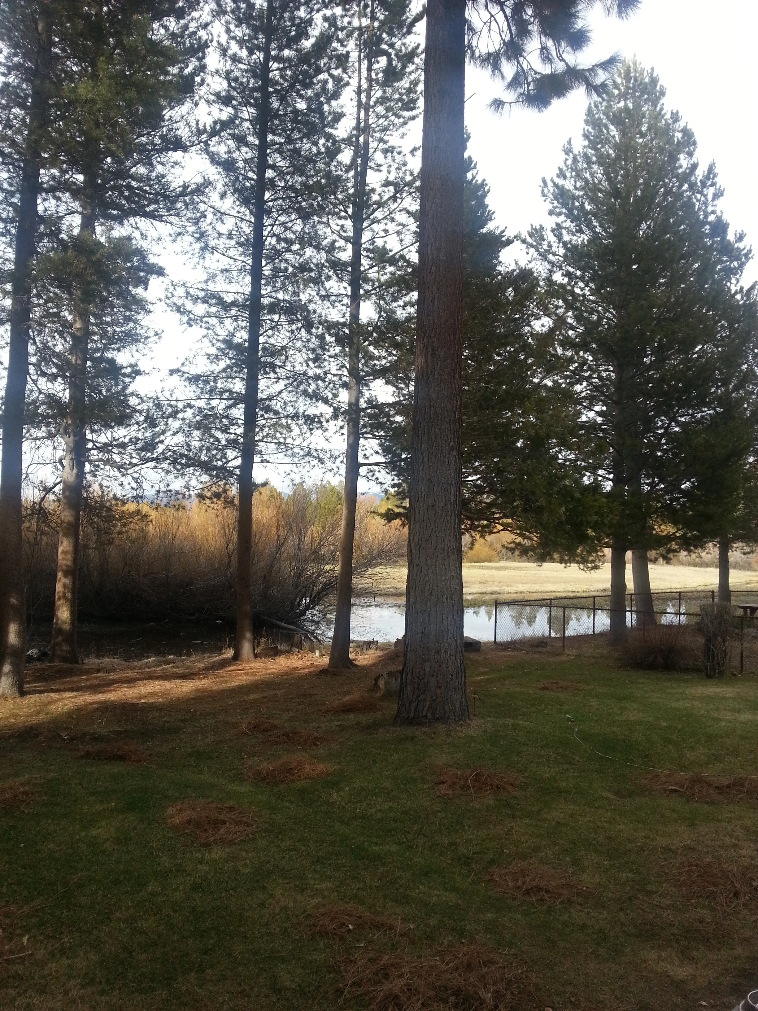 20130331_171152.jpg