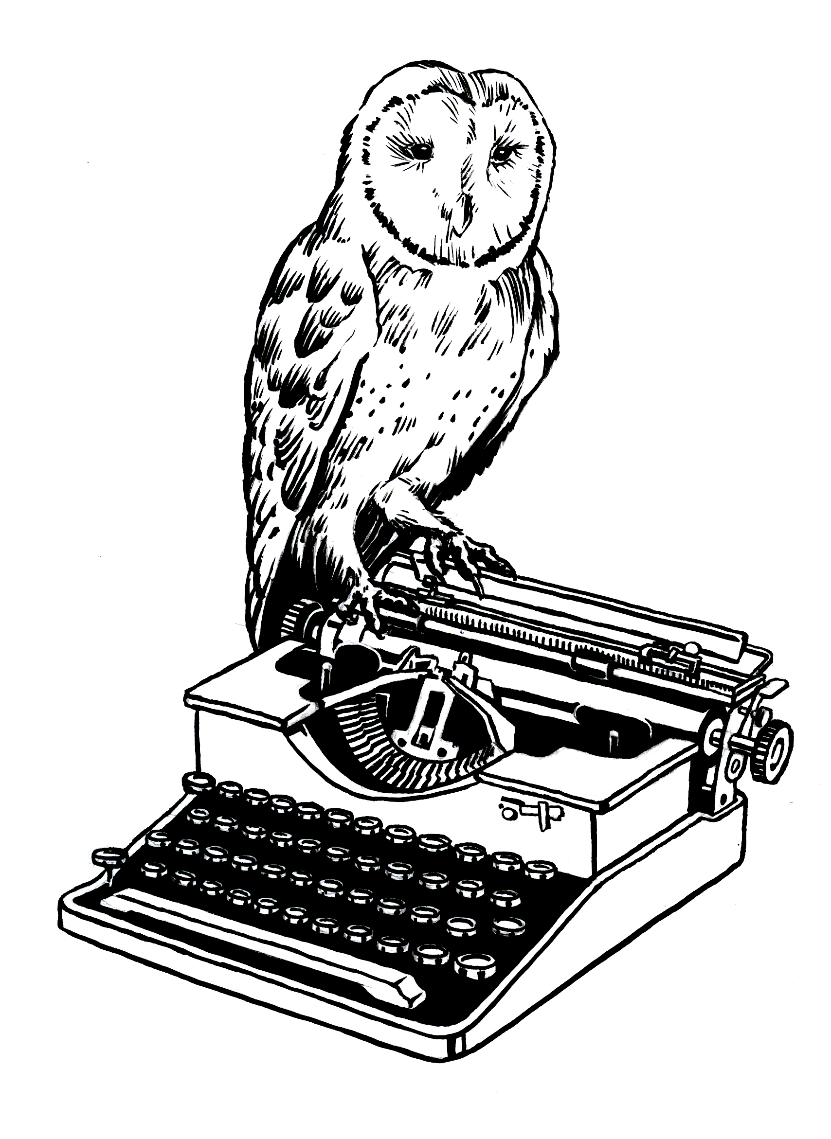 owltypewriter.jpg