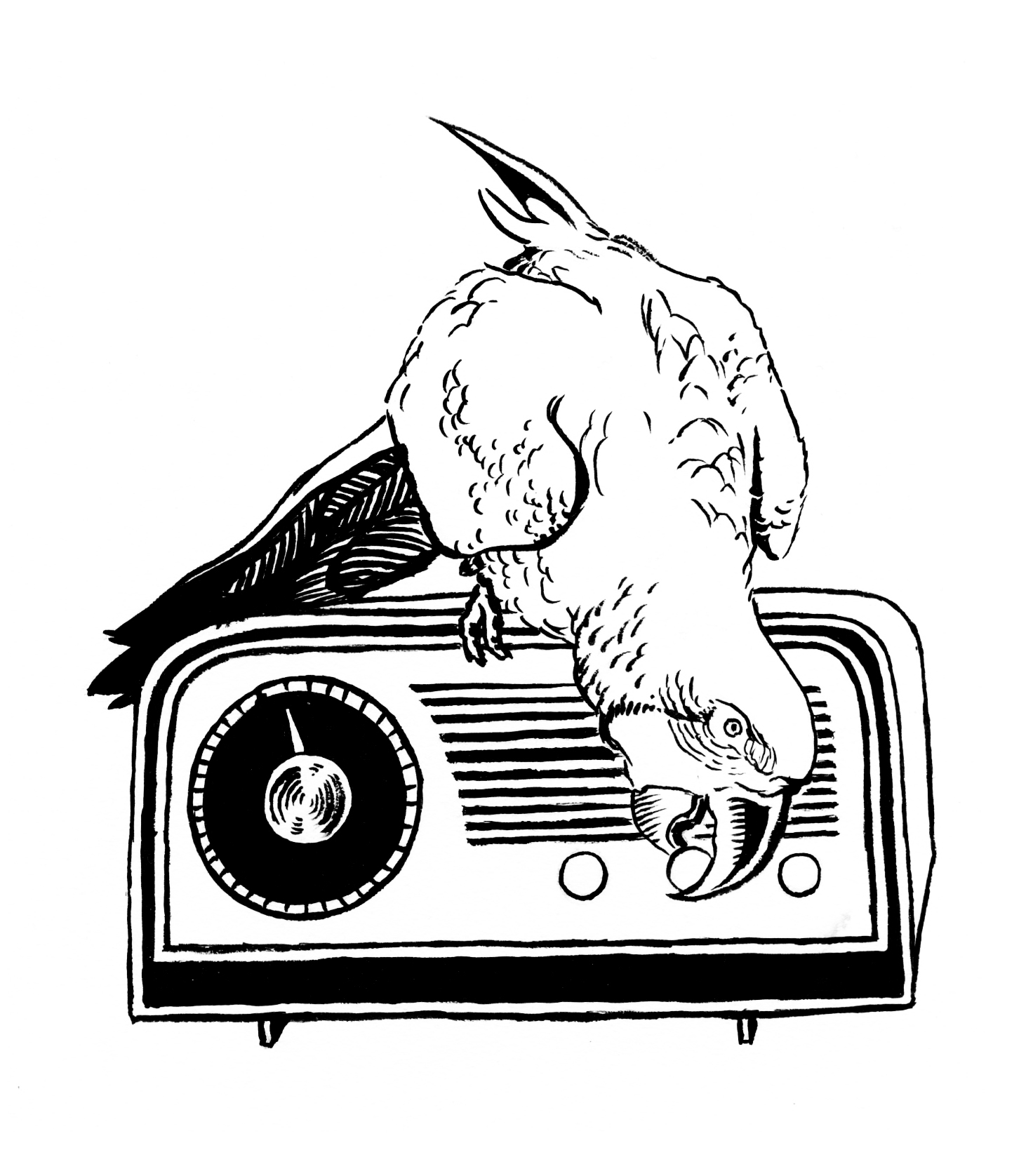 parrot_radio.jpg