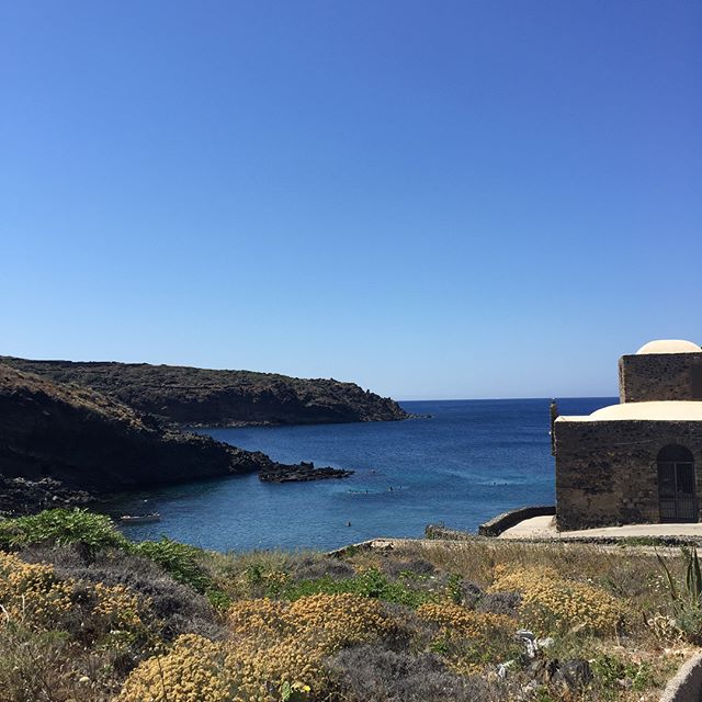Postcards from Pantelleria ... an island with no future tense; where the people are so entwined with their terroir that even if they leave, they always come home. A place where the fish are either swimming in the ocean or in olive oil, tomato, olives